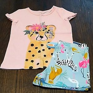 Girls Size 5T Lot